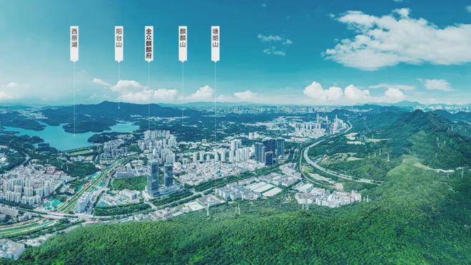 深圳金众麒麟府售楼处(2024最新消息)房地产市场分析(图4)