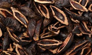 2024年中国房地产市场现状及未来发展趋势分析(图6)