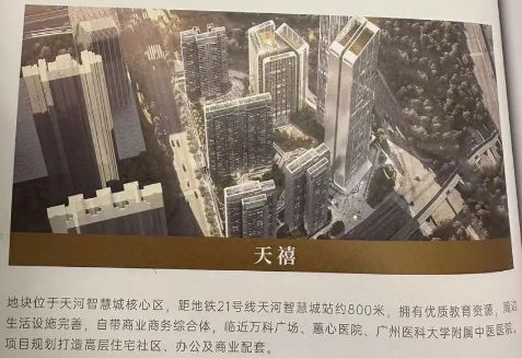 抢先关注！2024年这些豪宅新盘正在排队进场(图5)