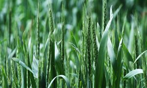 Pg电子网站：2024年商品房行业市场全景调研未来房地产市场有望迎来广阔发展空间(图6)