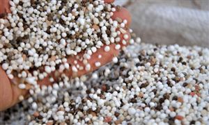 Pg电子平台：2024年中国房地产金融行业市场现状及发展前景广东：245个房地产白名单项目授信737亿(图2)