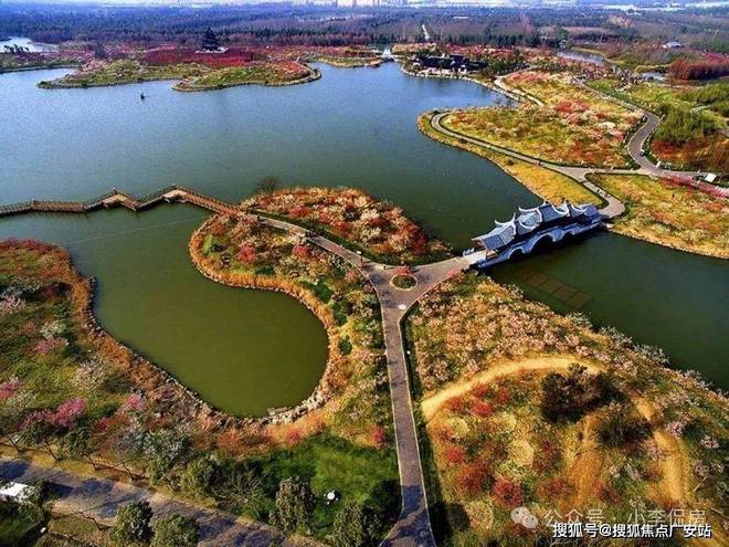 2024电建地产·泷悦蓝湾）首页网站-泷悦蓝湾楼盘详情-户型配套(图13)