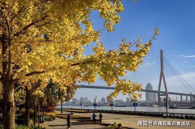 翠湖滨江(2024售楼处)网站-杨浦翠湖滨江房产百科-上海房天下(图11)