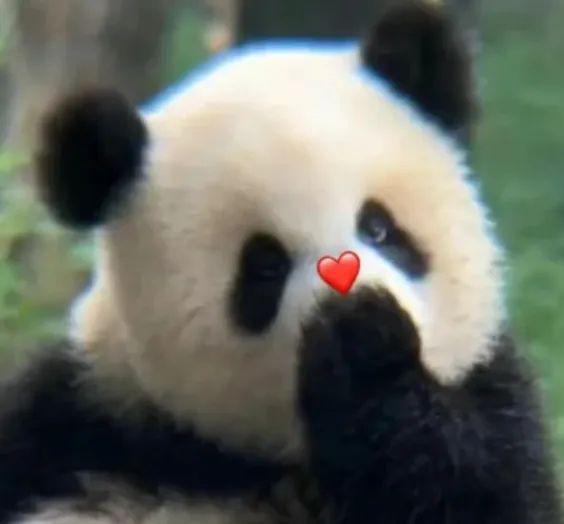 倒计时三天！买房就在2024伊金霍洛旗商品房展示交易会！(图2)