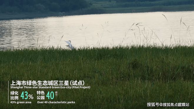 2024保利海上瑧悦(售楼处电话)网站-房产百科-上海房天下(图12)