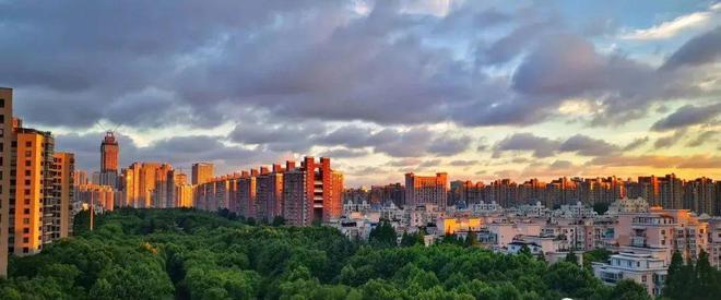 2024中鹰黑森林(售楼处)网站-中鹰黑森林房产百科-上海房天下(图2)