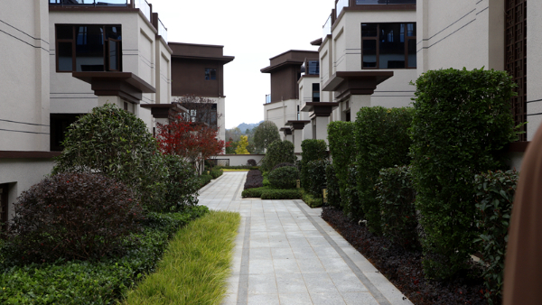 修文：多举措推进房地产市场稳步运行(图2)