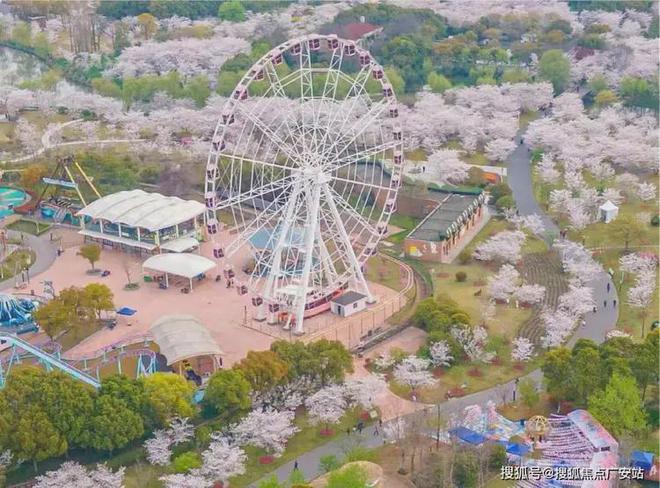 2024中建山水雅境(售楼处)网站-山水雅境房产百科-上海房天下(图19)