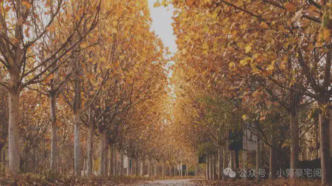 Pg电子：观承别墅·大家-售楼处(别墅·大家)网站-2024新首页-北京房产(图7)