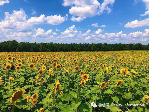 Pg电子平台：万科云庐售楼处2024首页网站-万科云庐楼盘详情-北京房天下(图6)