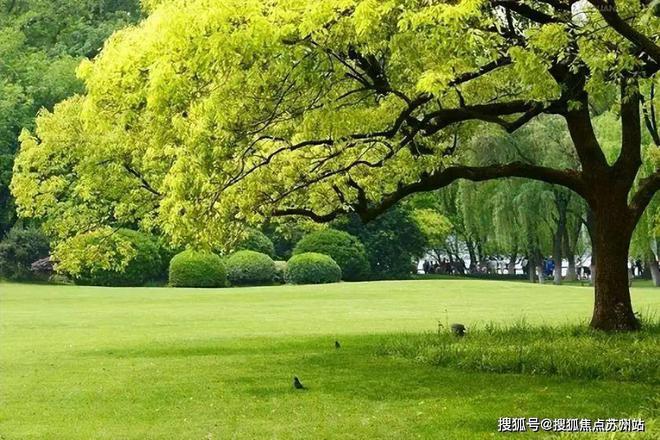 2024花语景岸(售楼中心)网站-花语景岸房产百科-苏州房天下(图6)