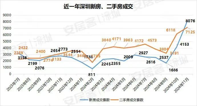 2024年深圳疯抢的5大“日光盘”！