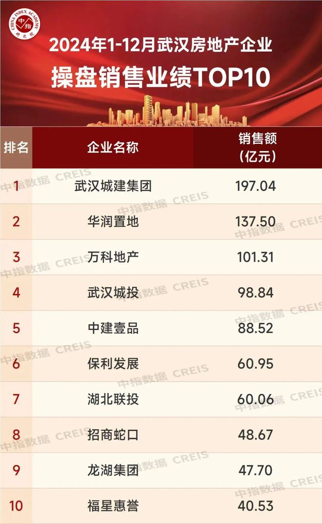 2024年武汉房地产企业销售业绩TOP30(图3)