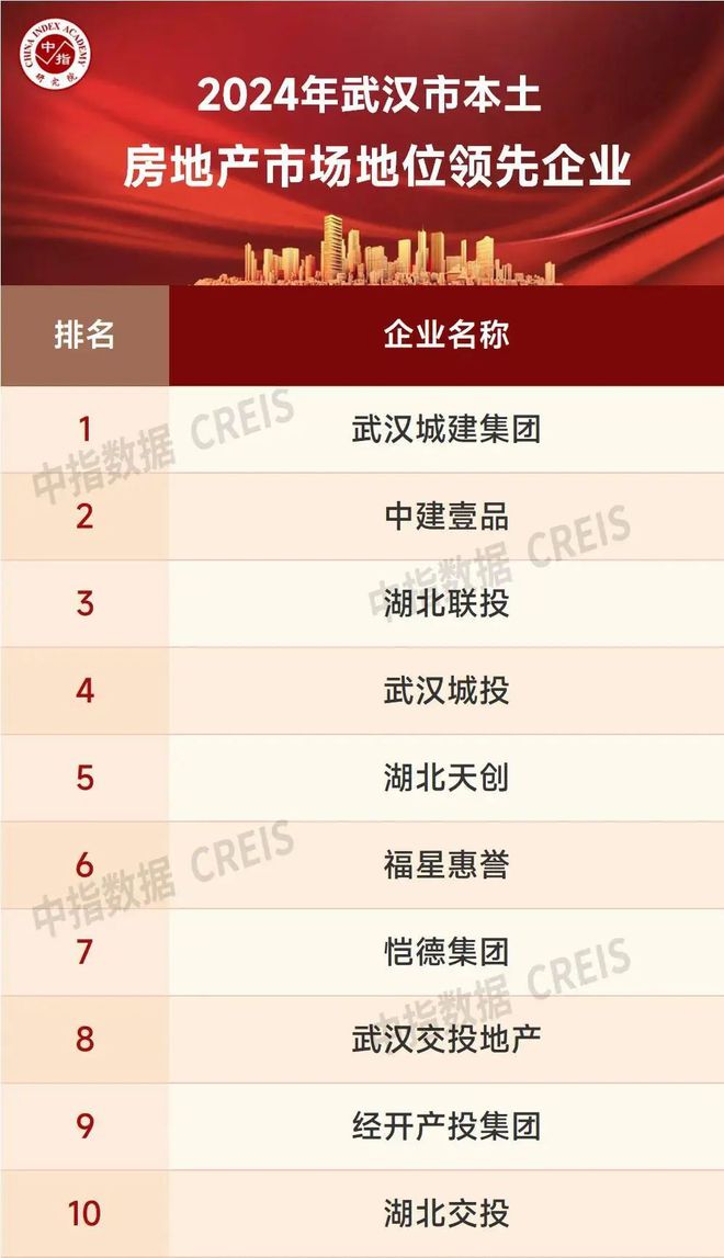 2024年武汉房地产企业销售业绩TOP30(图4)