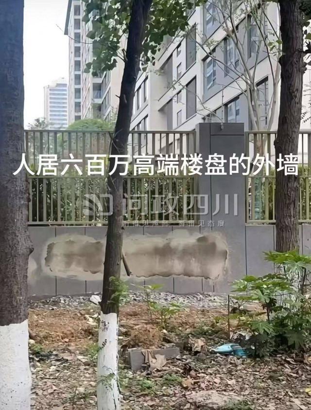 成都兴城人居地产2024年净利润亏损2008亿元丨封面年报(图3)