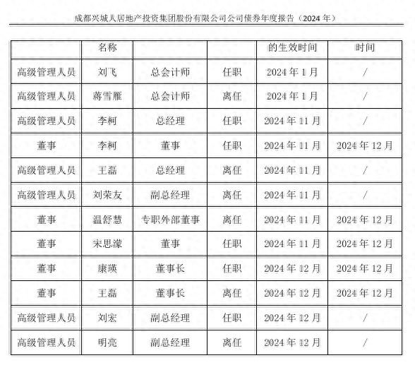 成都兴城人居地产2024年净利润亏损2008亿元丨封面年报