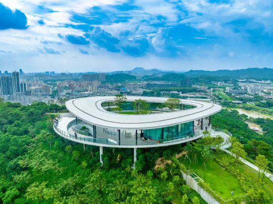 住宅成交同比增长127%！深圳光明房地产市场表现亮眼(图13)
