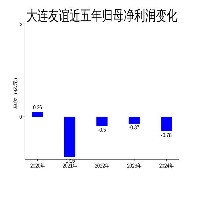 大连友谊2024年财报：营收翻倍净利润亏损扩大(图2)