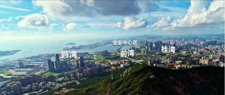 Pg电子平台：大湾区2023年深圳房地产项目销售TOP10(图3)