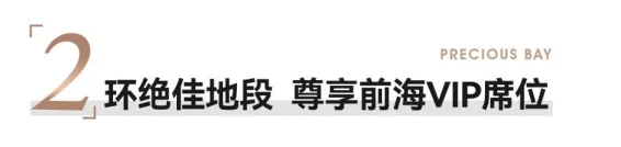 Pg电子平台：大湾区2023年深圳房地产项目销售TOP10(图5)