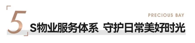 Pg电子平台：大湾区2023年深圳房地产项目销售TOP10(图9)