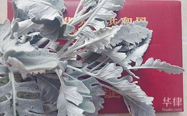 房地产项目清算条件