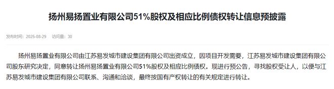 Pg电子平台：扬州两家地产公司股权、债权拟将转让涉及2项目(图11)