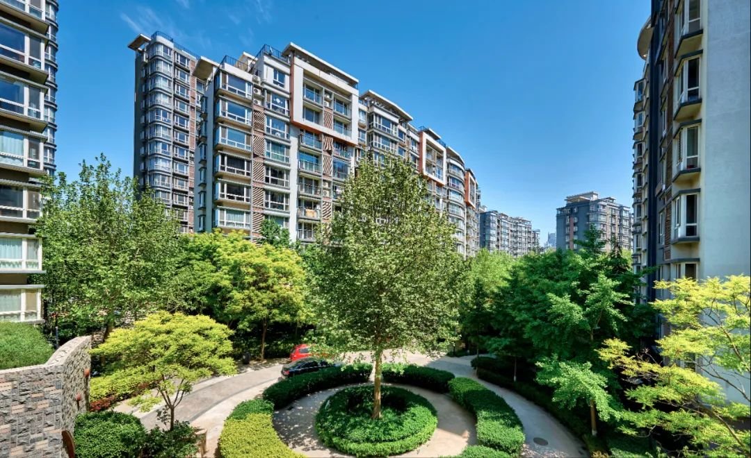 重磅喜讯!泰达建设集团格调系荣获中指院“2024中国房地产项目品牌价值TOP10”称号