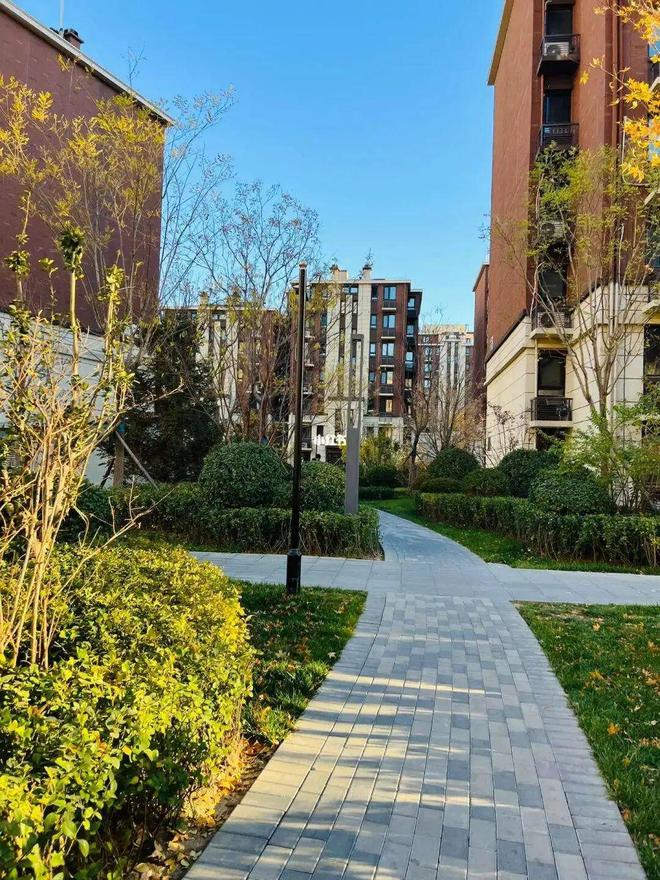 黄奇帆：对2025年房地产的几个判断未来房价涨跌有答案了(图4)