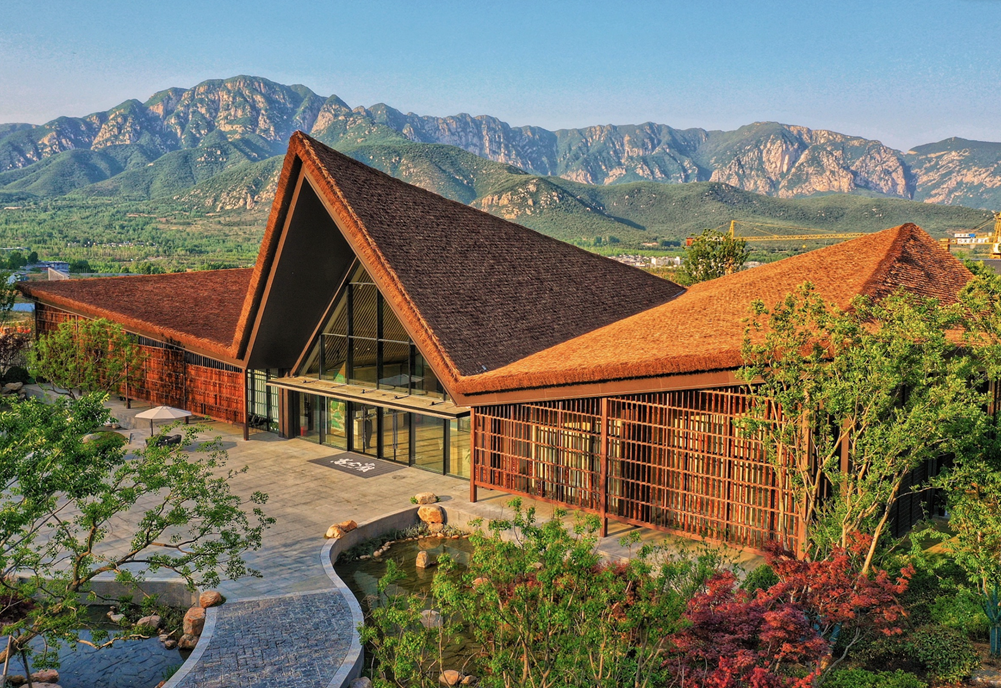 河南第一高楼制造霸总郑州闲置商场年产700部剧短剧“拯救”房地产？