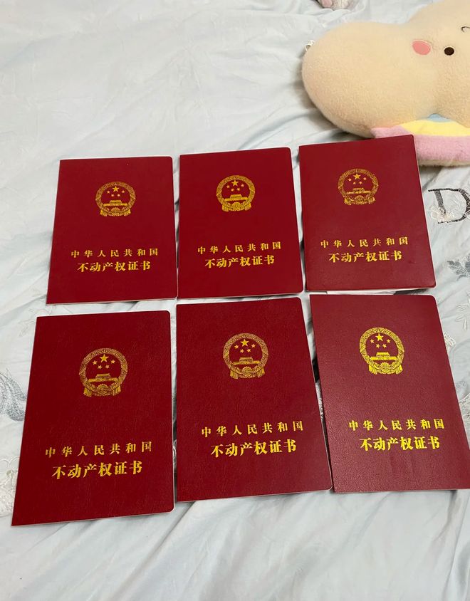 现在高价卖掉房子的人都将后悔？2025年中国房产或开始一轮洗牌(图4)