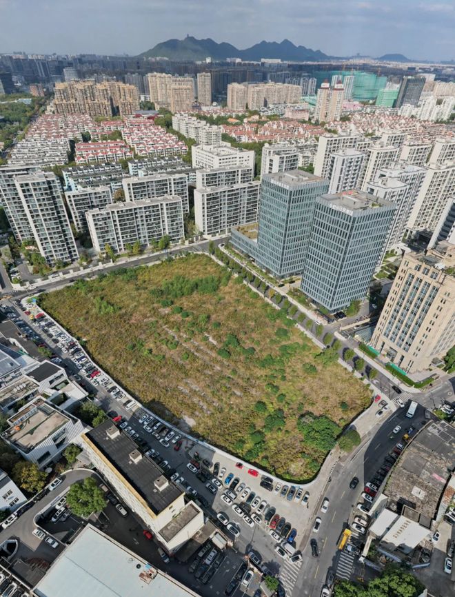 现在高价卖掉房子的人都将后悔？2025年中国房产或开始一轮洗牌(图7)