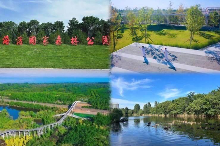 十五五主要目标出炉!未来房地产这样发展(图4)