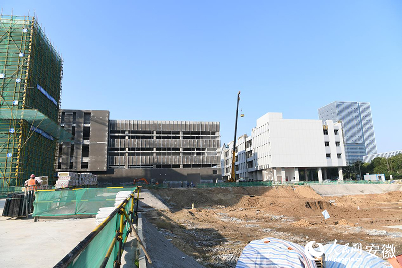 Pg电子平台：“三新”双凤②项目“上新”打造一方投资热土(图2)