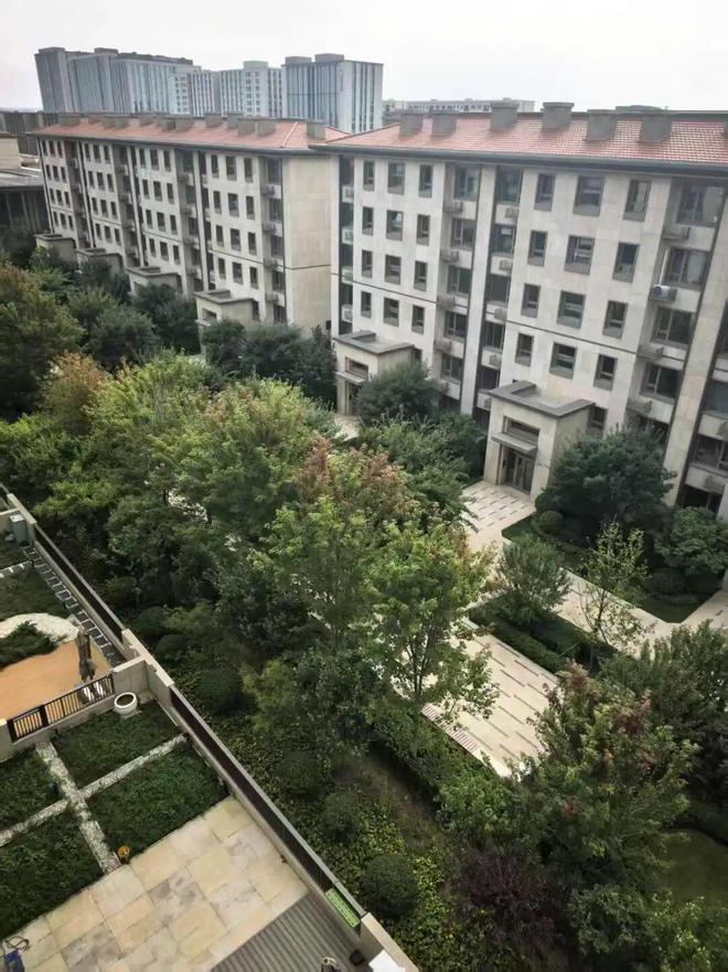 又一家“奇葩”房企：极寒地区的品质王！(图4)