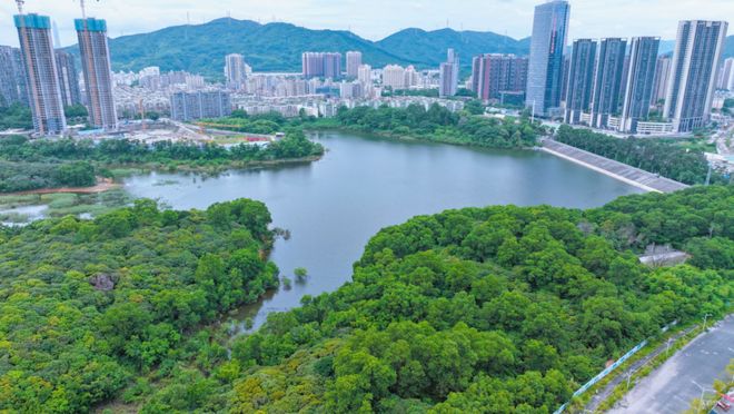 Pg电子：密集落子北上深！这家央企以担当之力拓局高端市场！(图14)