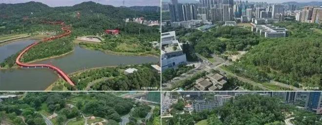 光明中建观玥名邸本项目由深圳新宸房地产开发有限公司开发(图10)