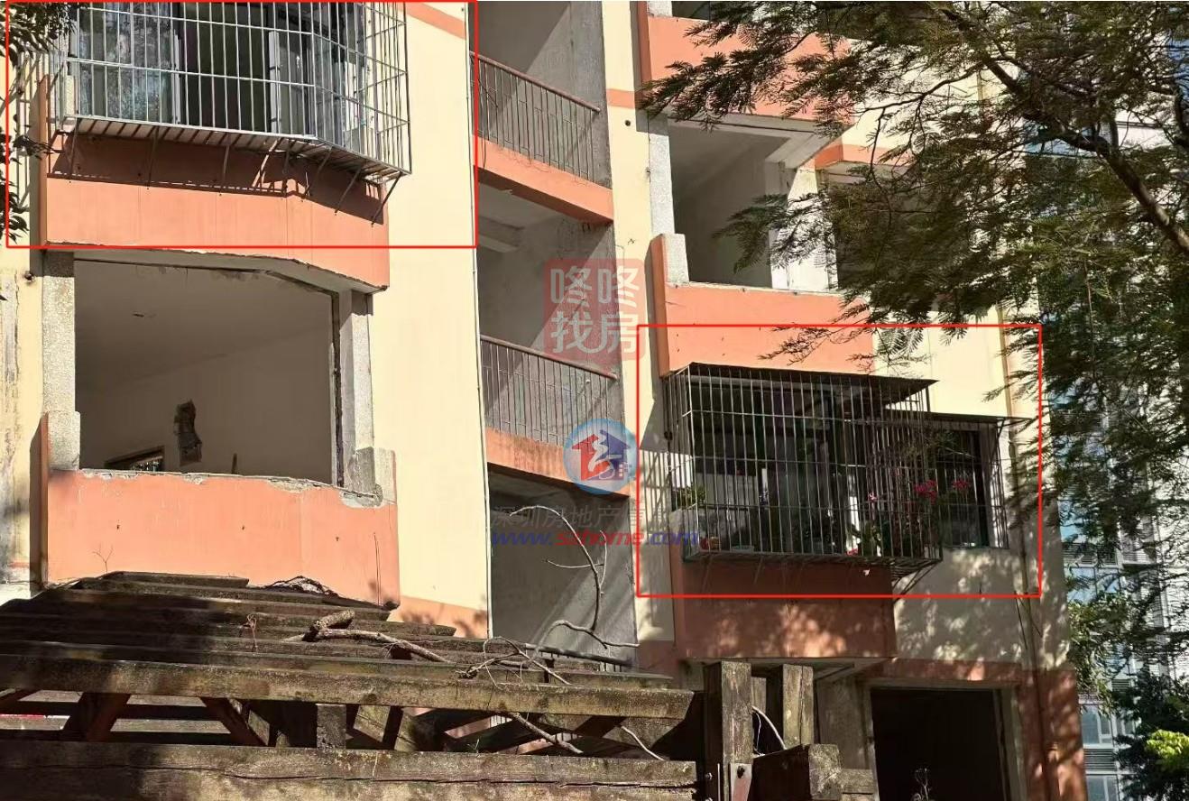 回迁无望深圳旧改业主“逆行”搬回旧宅！拆迁最惨案例诞生了