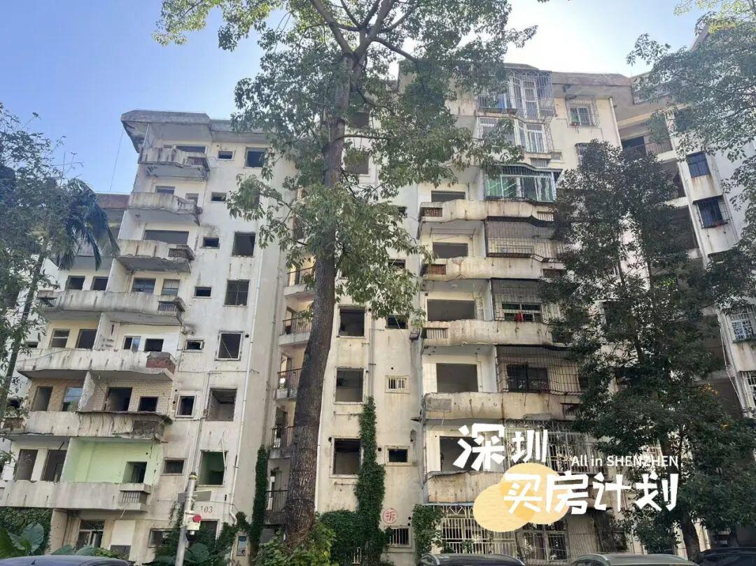 回迁无望深圳旧改业主“逆行”搬回旧宅！拆迁最惨案例诞生了(图2)