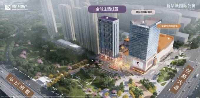 新华星耀江河项目户型图-价格