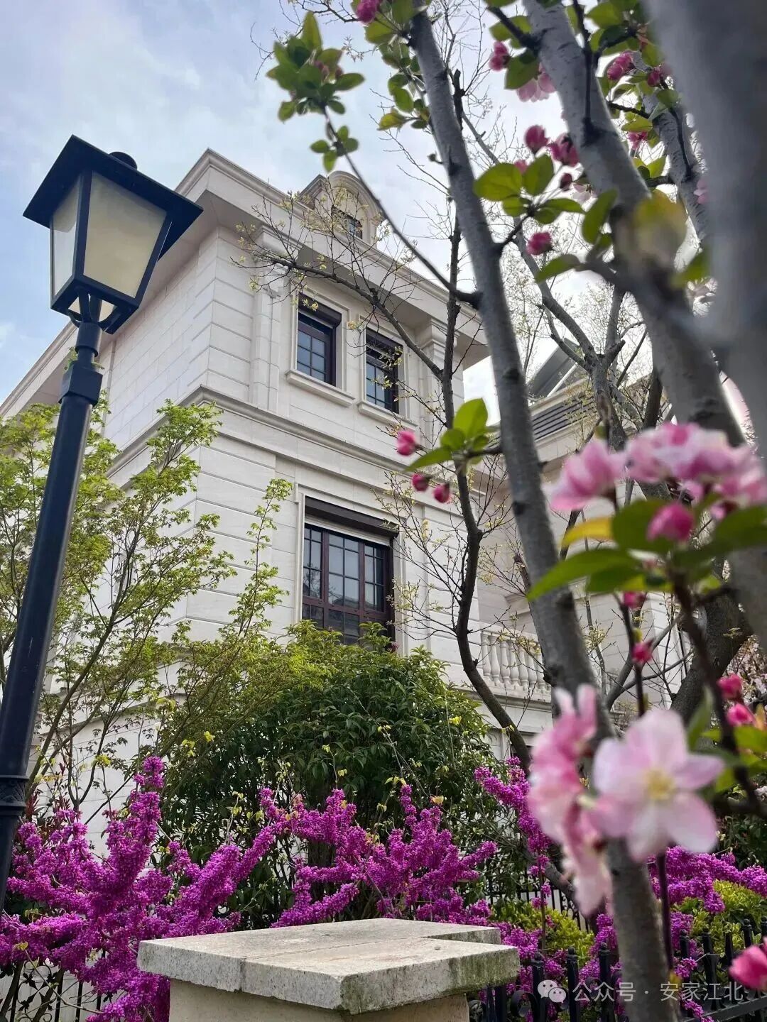 Pg电子：风向突变！富豪们正扎堆杀回楼市南京别墅突然发力(图8)