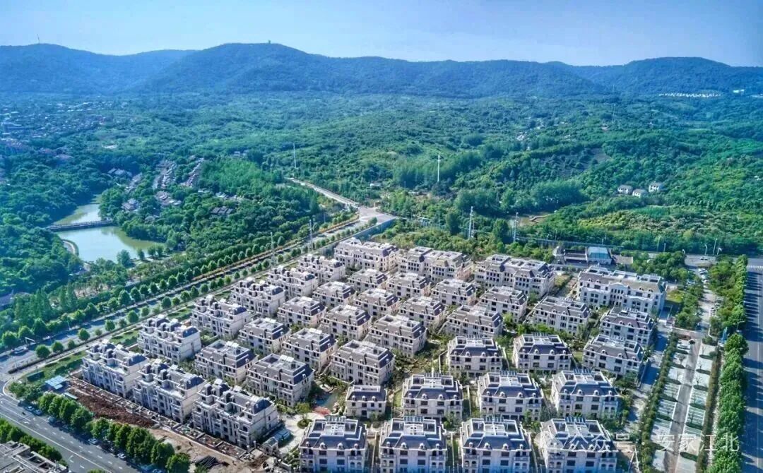 Pg电子：风向突变！富豪们正扎堆杀回楼市南京别墅突然发力(图9)