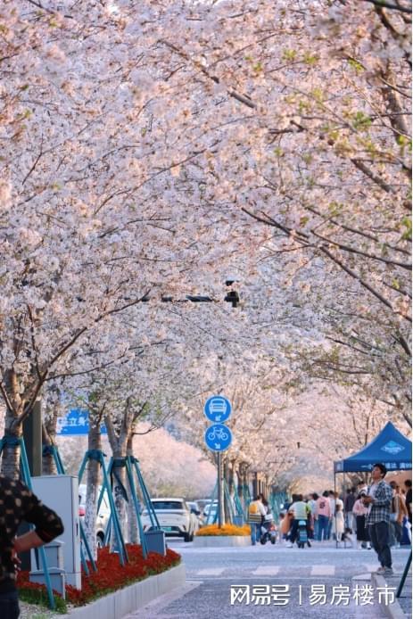 楼市热度狂飙四代准现房开启清盘抢房模式！(图4)