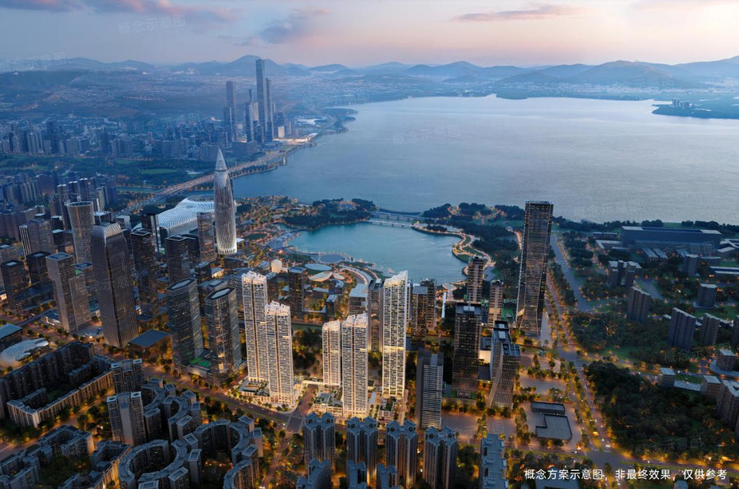 Pg电子网站：深圳湾澐玺南区开盘已累计销售金额超239亿(图3)